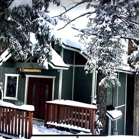 Hallelujah Forest Villa Big Bear Lake Exteriör bild